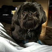 Vita Pace's photo