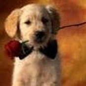 Sue Walton's photo