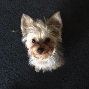 Deb Gaumont's photo