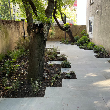 Modern Urban Shade Garden