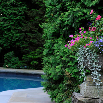 Secret Garden
