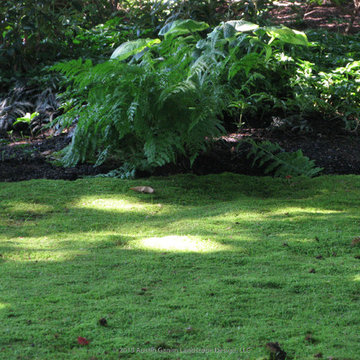 Shade Gardens - Southport & Westport, CT