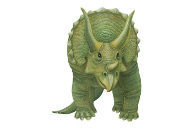 Triceratops Wall Decal