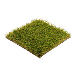 Fringe: SYNLawn 256 - Outdoor Products
