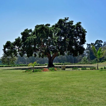 200 Lambert / 201 Toro Canyon - Vacant Land