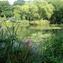 Ponds