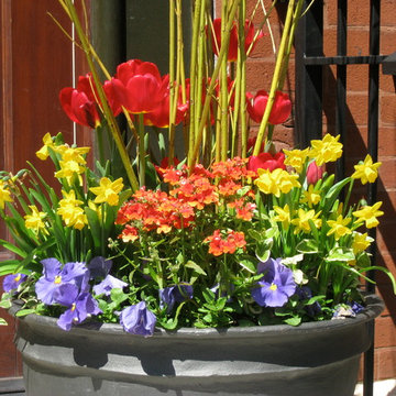 seasonal containers