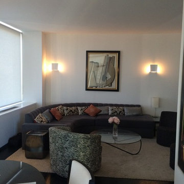 Manhattan Renovation - Trump Place