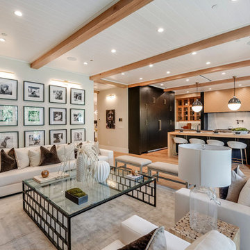 Modern Farmhouse Open-Concept Living