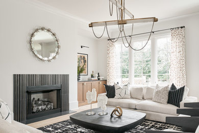Living room - transitional living room idea in Charlotte