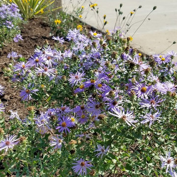 Bike Trail Pollinator Gardens