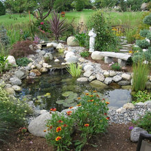 Water Feature