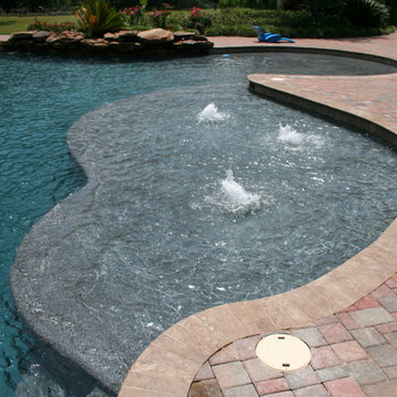 Tropical Pool | Craddock Residence