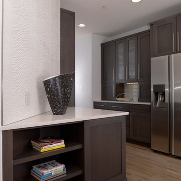 RESTON TOWNHOUSE KITCHEN REMODEL--Contemporary