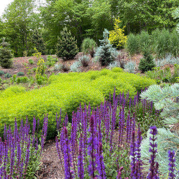 Front garden in late May, 2021