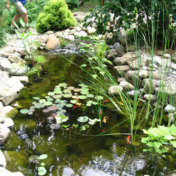 West Woods Rd Pond & Stream - Hamden