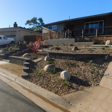 Point Loma Front Yard
