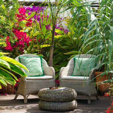 Tropical Garden