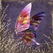 Lydia Chabrier's photo