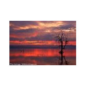 Lorraine Callaghan's photo