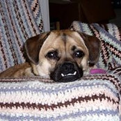 Chris Haines's photo