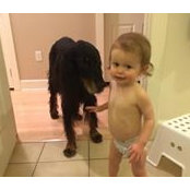 Robert Tofe's photo