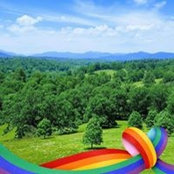 Betty Pedone's photo