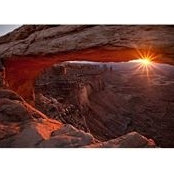 David Winters's photo