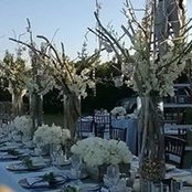 Danielle Lebo's photo