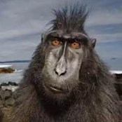 Daniel Lowell's photo