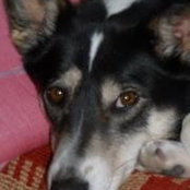 Carole Orr's photo