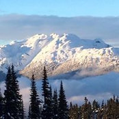 Jeanette Greelish's photo