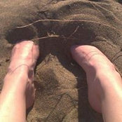 Crispin Shelley's photo