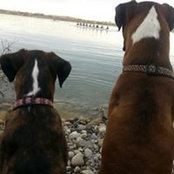 Ciara Duffy Ecclestone's photo