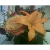 Dora Brown's photo