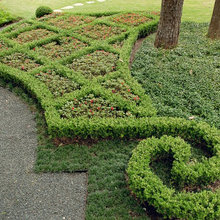 Artistic Greenery