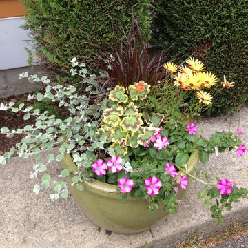 Seasonal Container Plantings & Changeovers