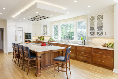 Example of a transitional kitchen design in Other