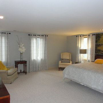 Basement Media Room / Bar and guest Suite