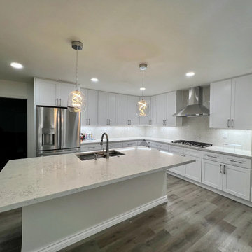 Luxurious Renovation