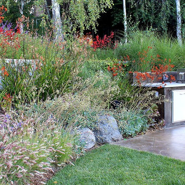A Mill Valley Hillside Garden