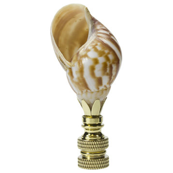 Snail Sea Shell Lamp Finial with Polished Brass Base 3.25"h
