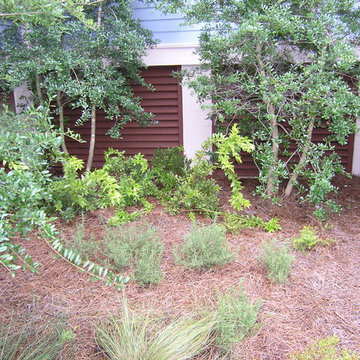 WindMark