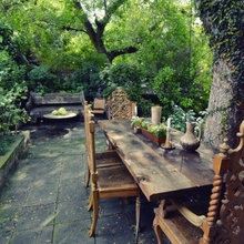Landscape Ideas