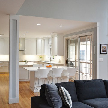 Sleek and European Kitchen Remodel