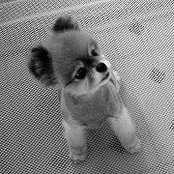 Veronica Watson's photo