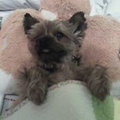 Shelly Nitschke's photo