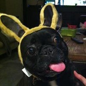 Adam Gelfe's photo