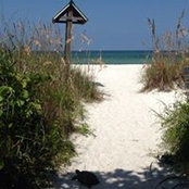 Alisha Pacheco's photo