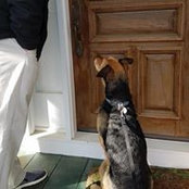 Joanna Lombardozzi's photo